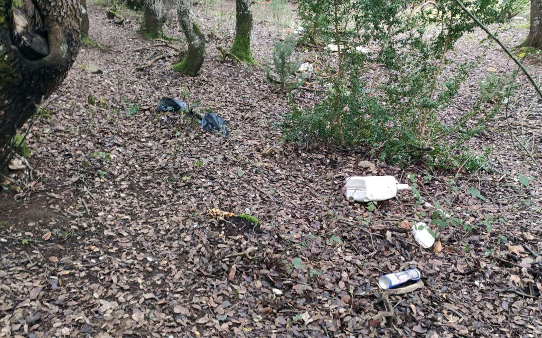 Las malas prácticas en la zona forestal del Camino Ignaciano entre Kanpezu y Genevilla