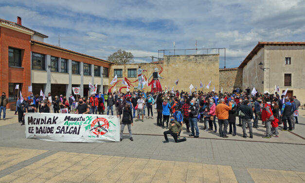 La protesta por los proyectos de parques eólicos en Araba ha recorrido hoy las calles de Maeztu
