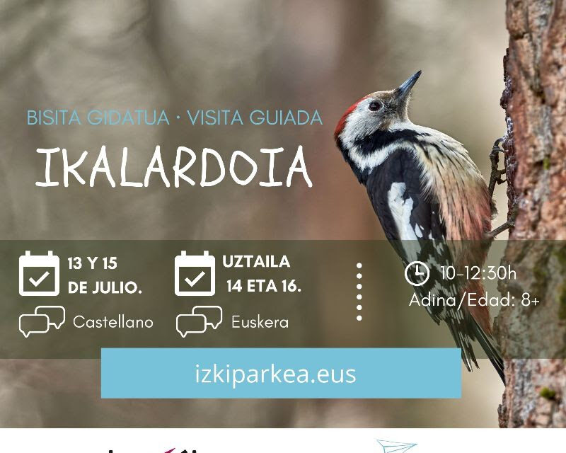 Visita gidatua – Visita guiada: Ikalardoia
