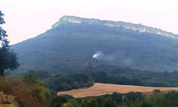 Controlado el fuego originado esta mañana por un rayo en la ladera este del monte La Muela
