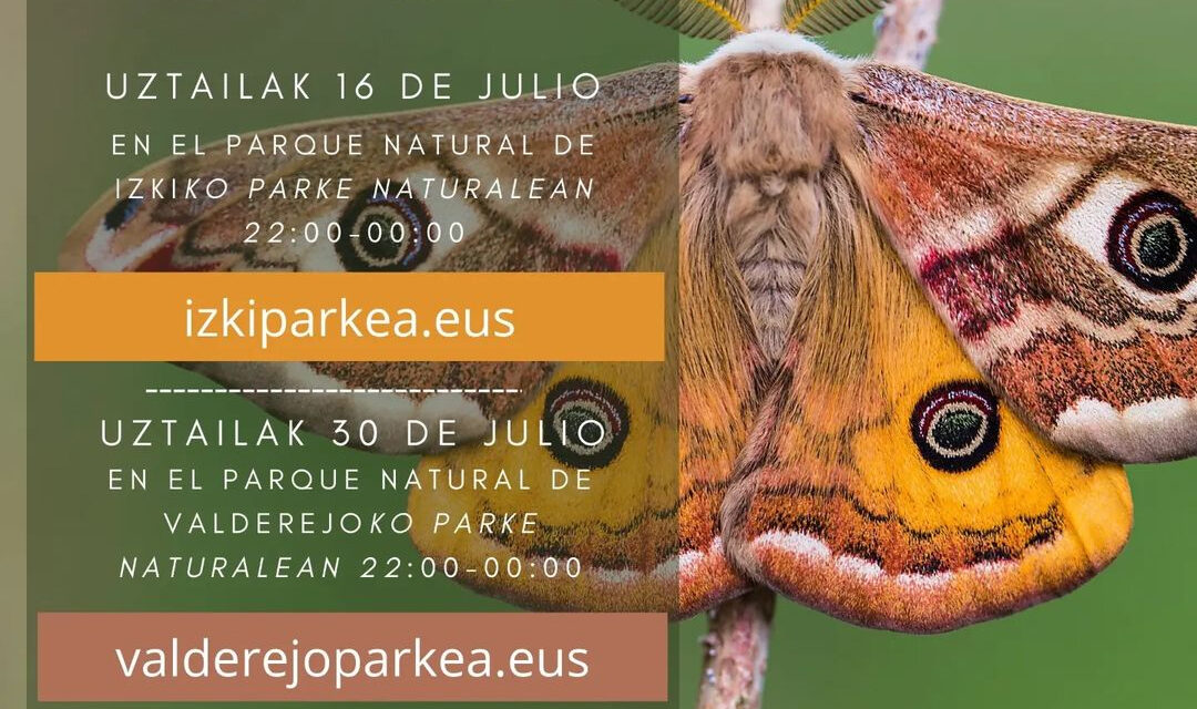 Tximeleta gaua. Noche de mariposas.