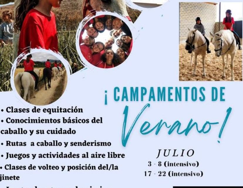 Udalekuak. Campamentos de verano. ZALDIHARANA.