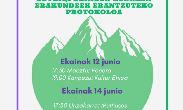 Aurkezpena/Presentación: Protocolo de respuesta Institucional frente a las violencias machistas y LGTBIQfóbicas