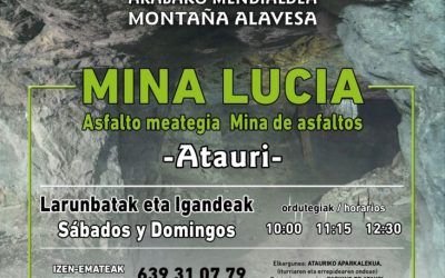 Visitas a Mina Lucía