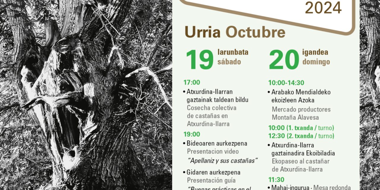 V. Gaztainaren jaialdia. Fiesta de la castaña (Apellániz, urriak 19-20 de octubre).
