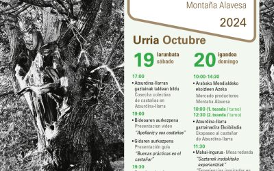 V. Gaztainaren jaialdia. Fiesta de la castaña (Apellániz, urriak 19-20 de octubre).