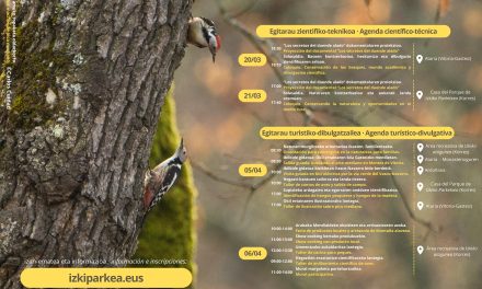 Okil ertainaren jaialdia. Festival del pico mediano.