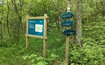 La ruta de los paisajes mineros de asfaltos naturales de Montaña Alavesa pone en valor el patrimonio industrial y natural de la comarca.